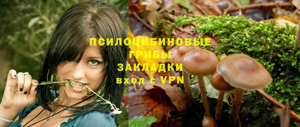прущая мука Абаза