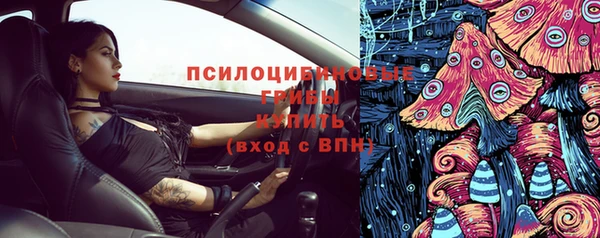 прущая мука Абаза