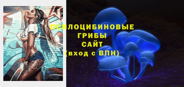 гидра Абдулино