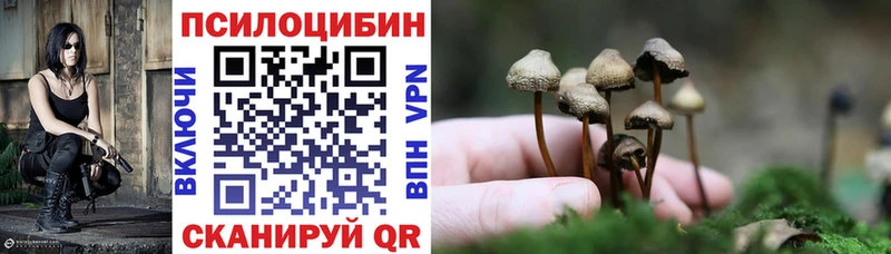 Галлюциногенные грибы Psilocybe  Тайга 