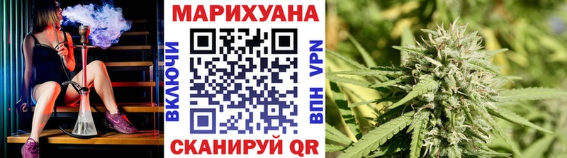 купить   Тайга  Шишки марихуана сатива 